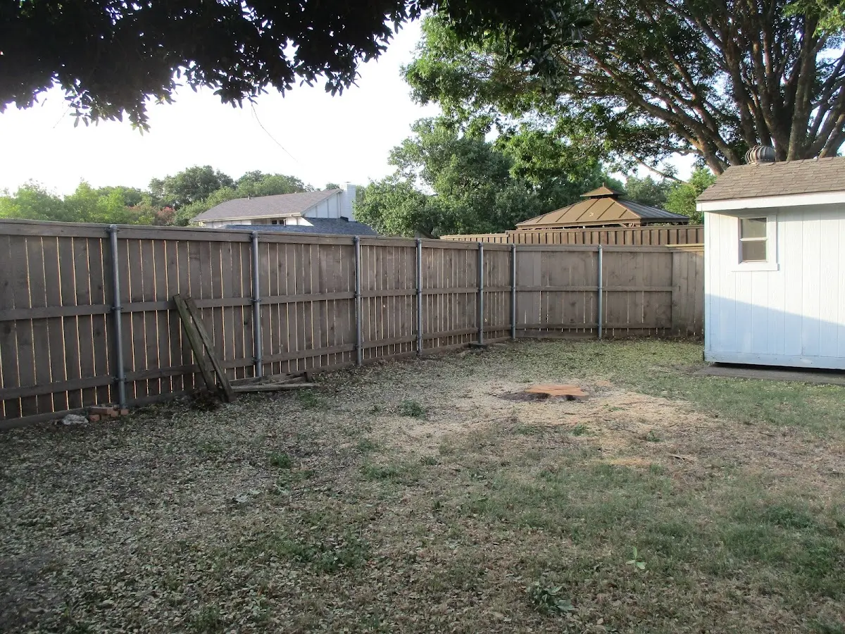 Cleared yard after professional tree removal in Fountain Hill